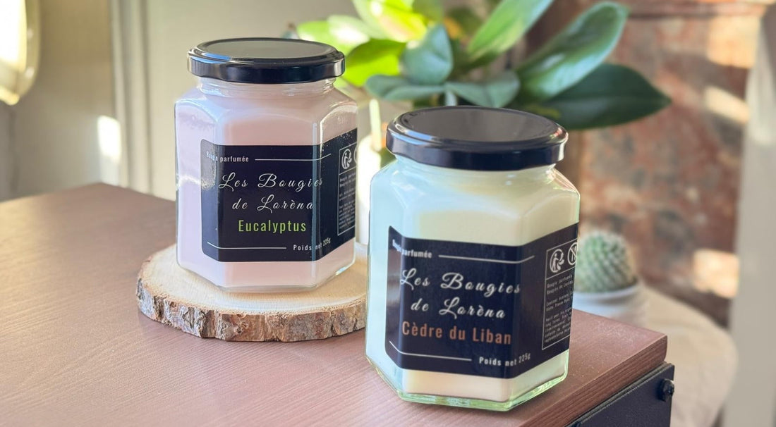Pourquoi Choisir une Bougie à la Cire de Soja ?
